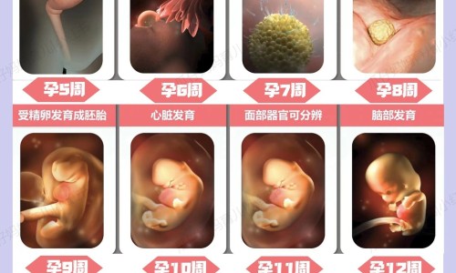 孕期乳头流清水了-怀孕期间乳晕流水网 :分享怀孕乳晕分泌白色分泌物-怀孕了乳晕出奶口明显正常吗知识