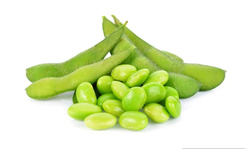 怀孕乳晕是什么-怀孕期间乳晕流水网 :分享怀孕乳晕分泌白色分泌物-怀孕了乳晕出奶口明显正常吗知识